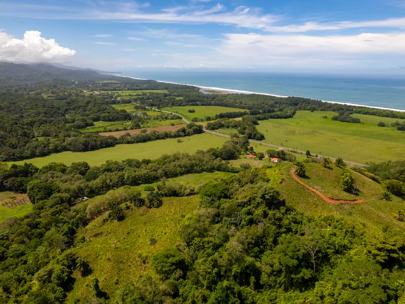 Land For Sale in Matapalo