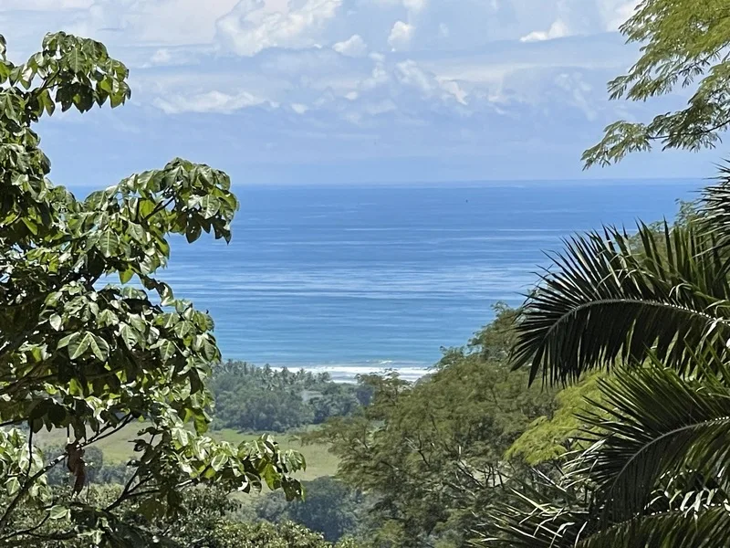 Land For Sale in Savegre