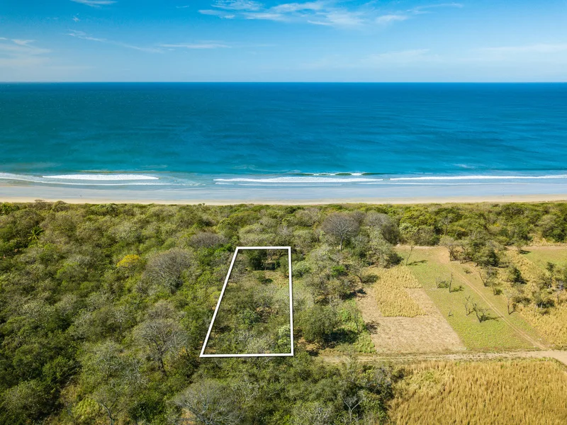 Land For Sale in Playa Grande