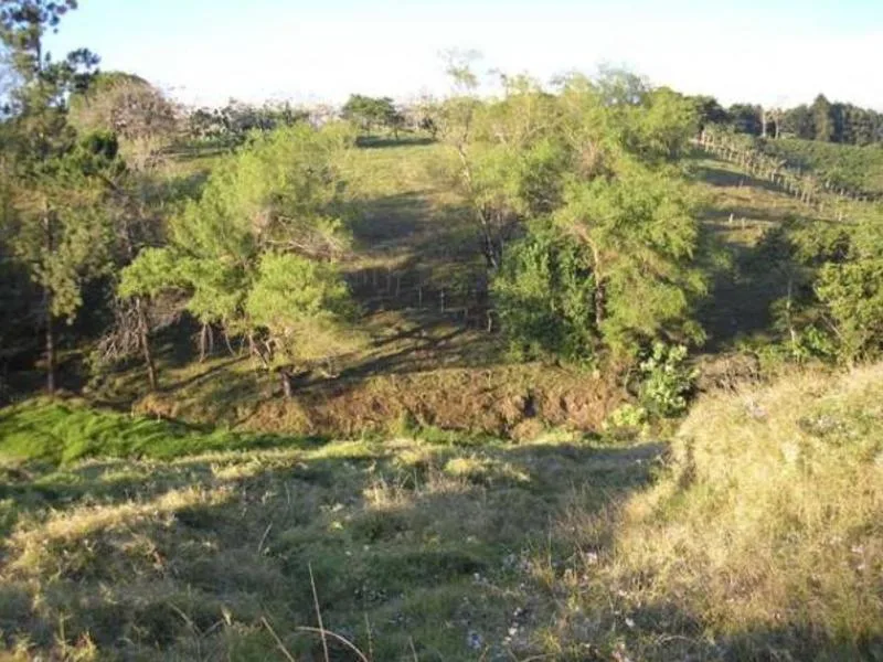 Land For Sale in Guadalupe