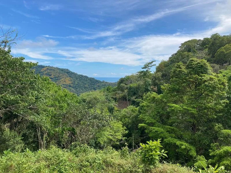 Land For Sale in Dominical