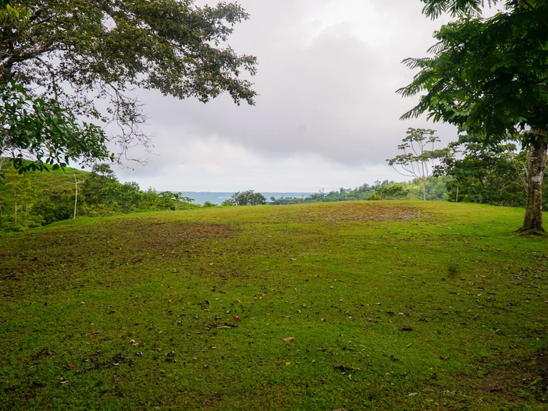 Land For Sale in Ciudad Cortes