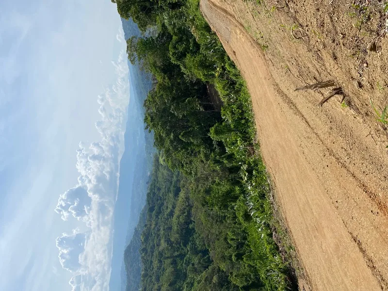 Land For Sale in Dominical