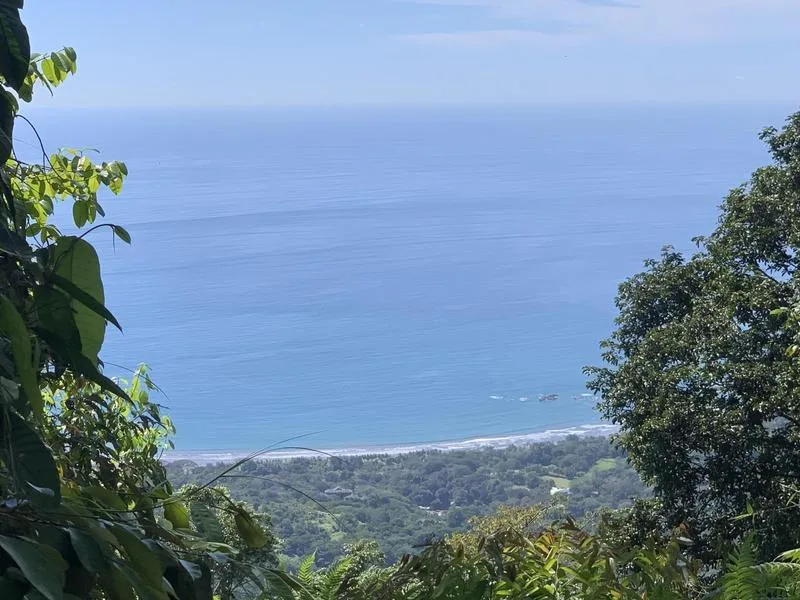 Land For Sale in Dominical