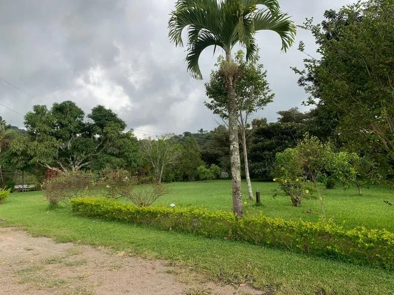 4 Bed Single Family Homes For Sale in Desamparados