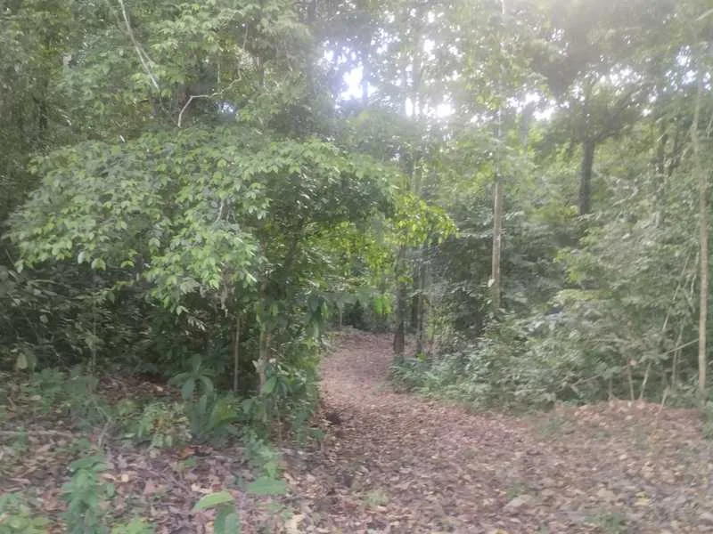 Land For Sale in Puntarenas