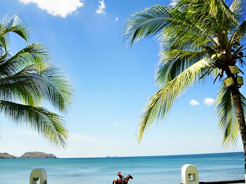 30 Bed Hotel / Leisure For Sale in Playa Potrero