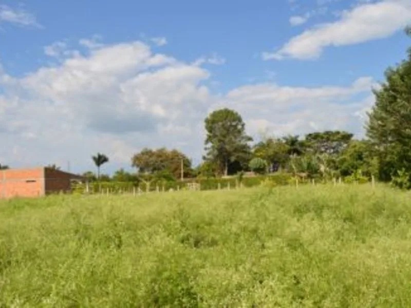 Land For Sale in Sabanilla