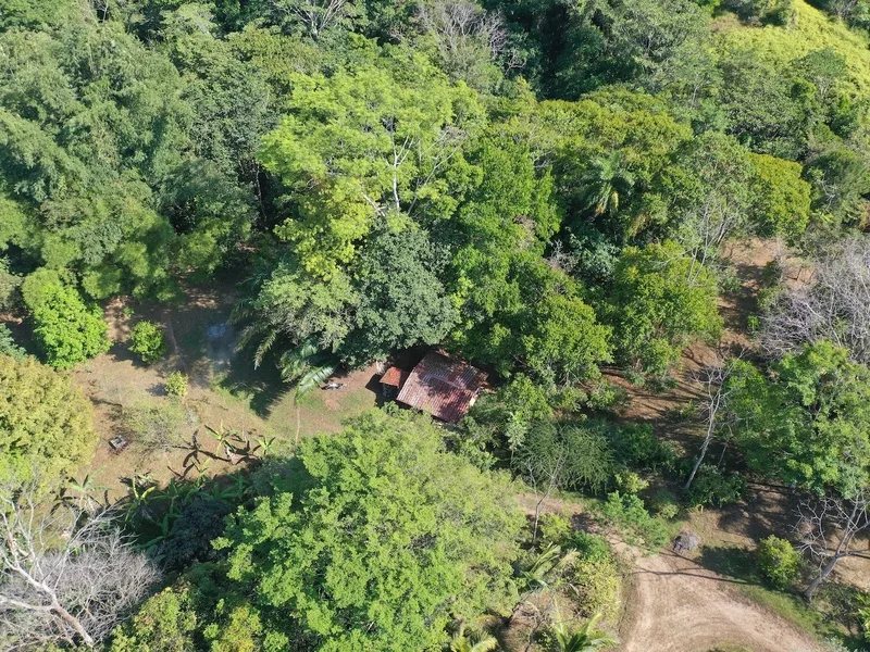 Land For Sale in Dominical