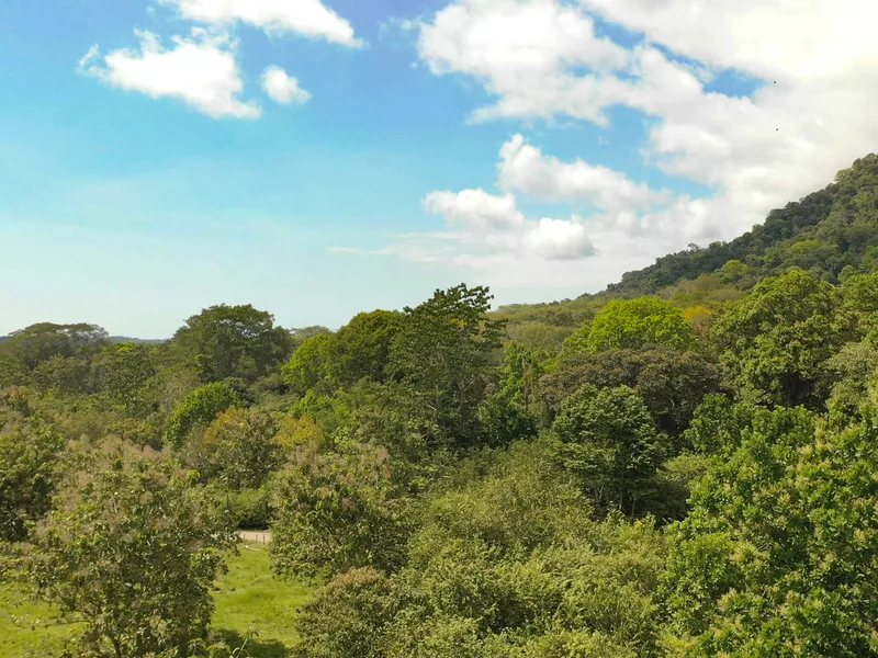Land For Sale in Matapalo