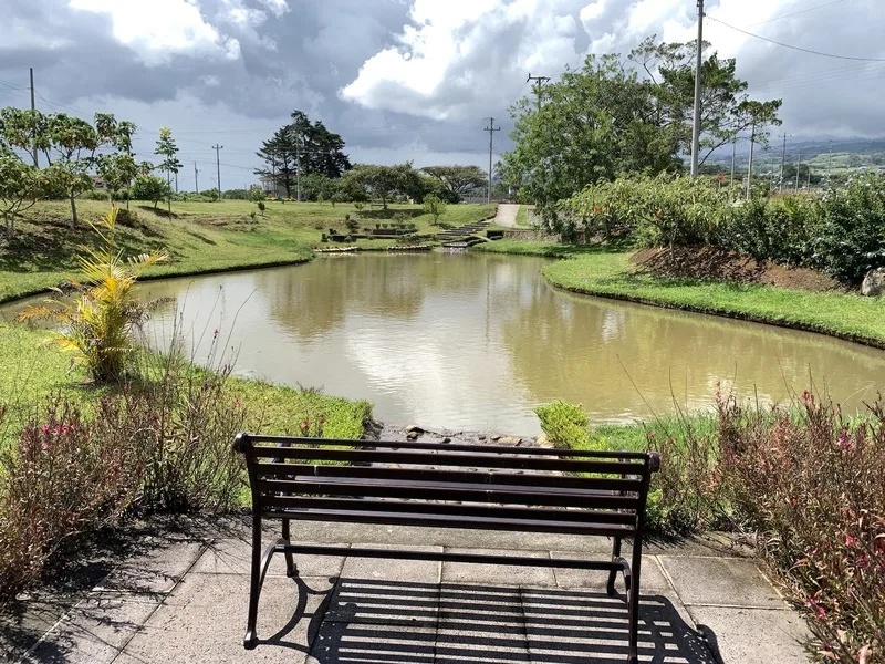 Land For Sale in Paraíso