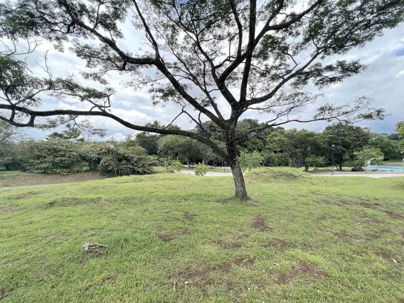 Land For Sale in San Rafael