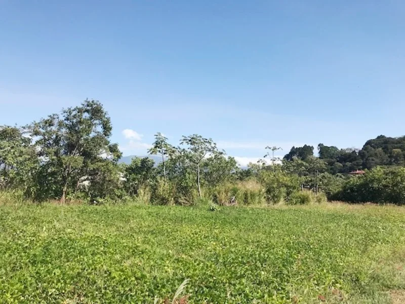 Land For Sale in Santo Domingo