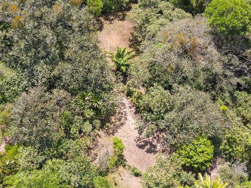 Land For Sale in Ojochal