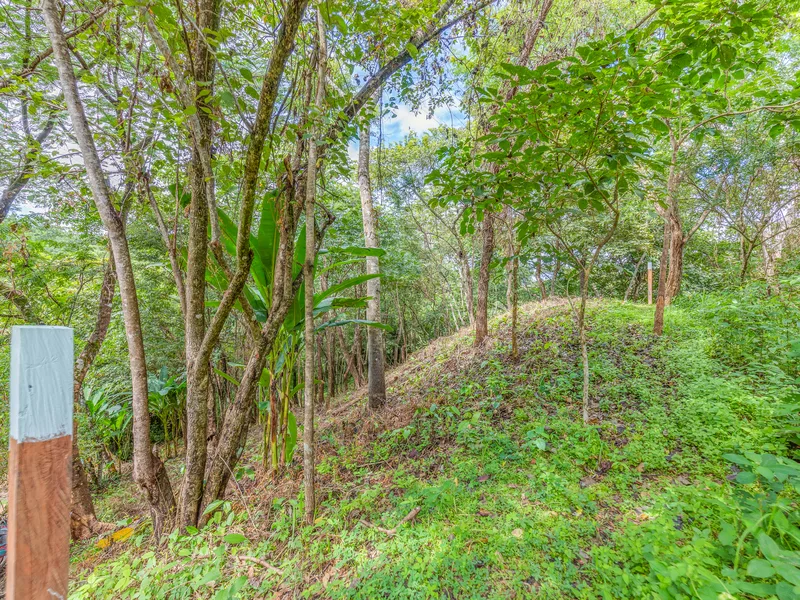 Land For Sale in Nosara