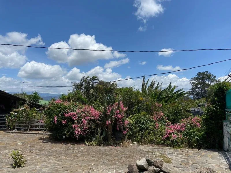 Land For Sale in Carmen