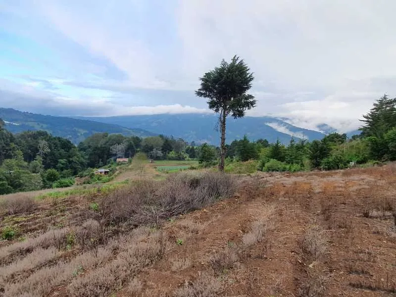 Land For Sale in Santa Maria