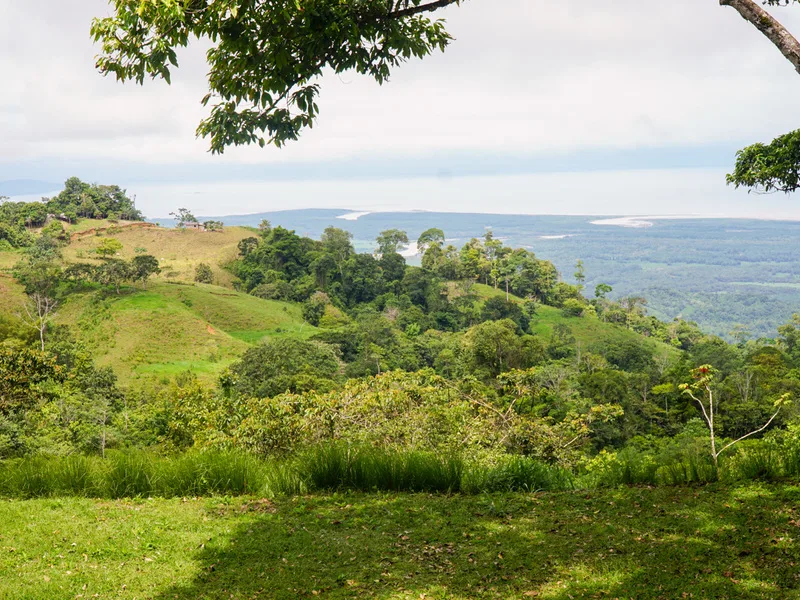Land For Sale in Ciudad Cortes