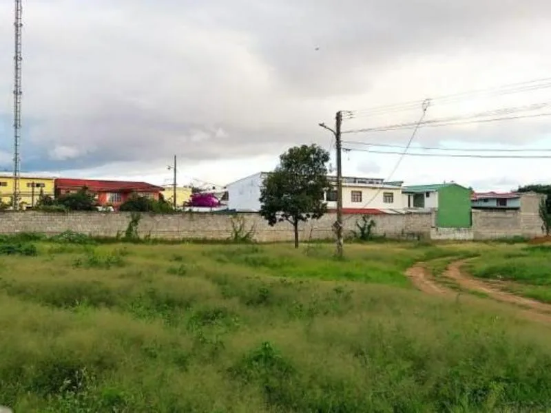 Land For Sale in Tibas — photo 3