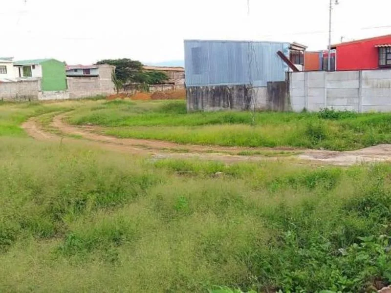 Land For Sale in Tibas — photo 5