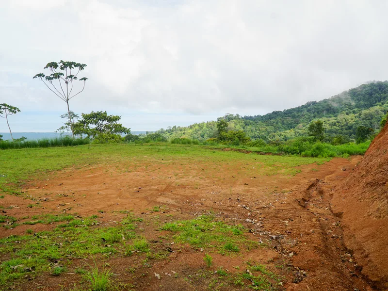 Land For Sale in Ciudad Cortes