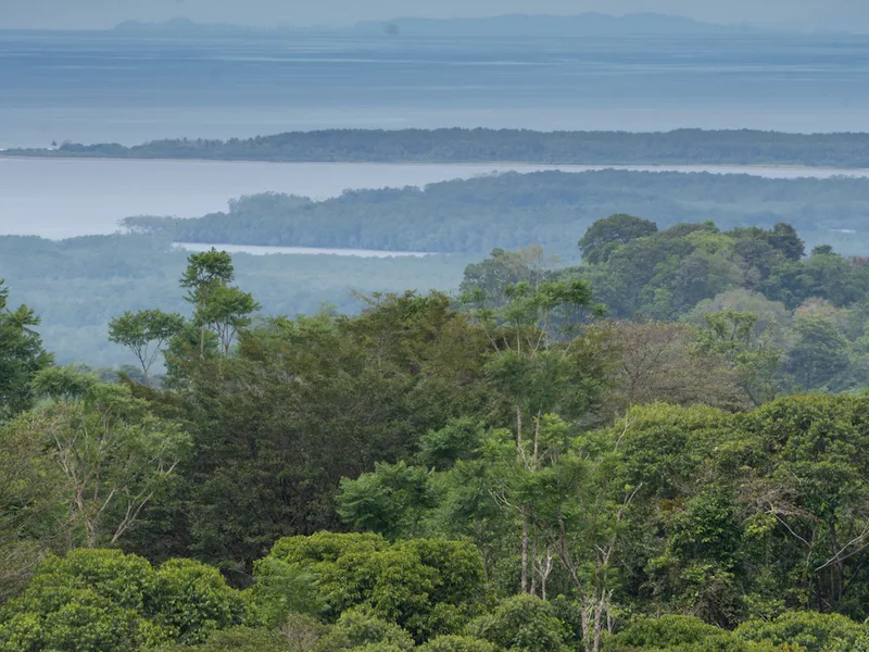 Land For Sale in Sierpe