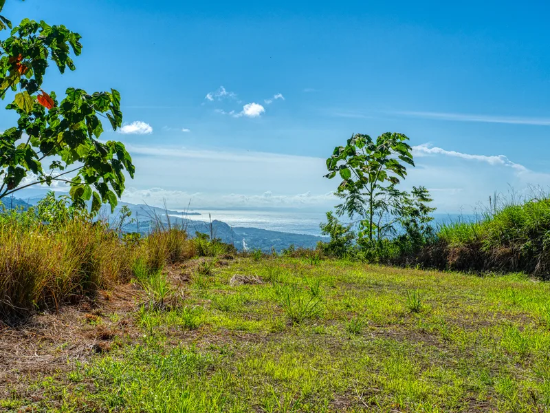 Land For Sale in Quepos