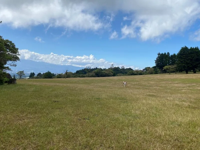 Land For Sale in Concepcion — photo 5