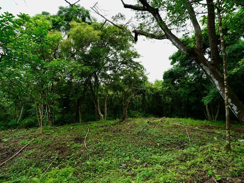 Land For Sale in Nosara