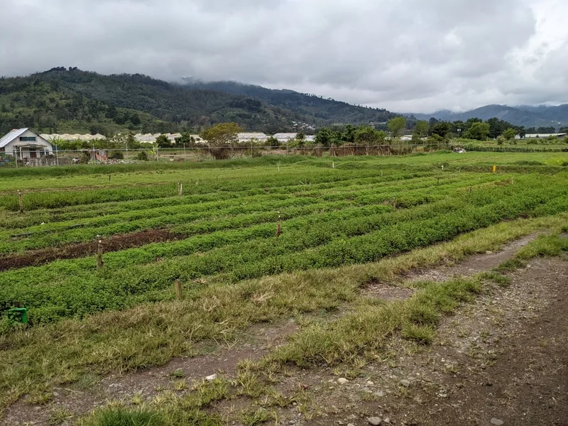 2 Bed Land For Sale in El Tejar