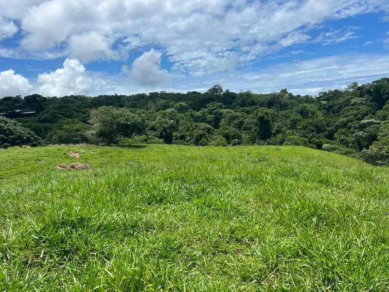 Land For Sale in Perez Zeledon