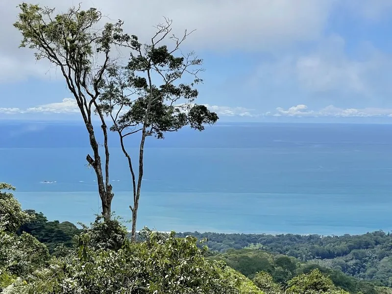 Land For Sale in Uvita