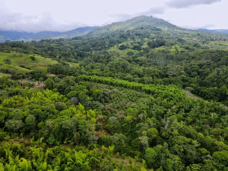 Land For Sale in Perez Zeledon