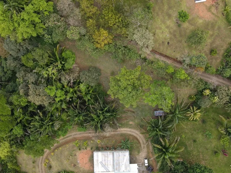 Land For Sale in Ojochal