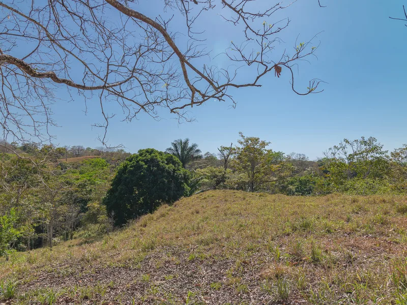 Land For Sale in Manzanillo