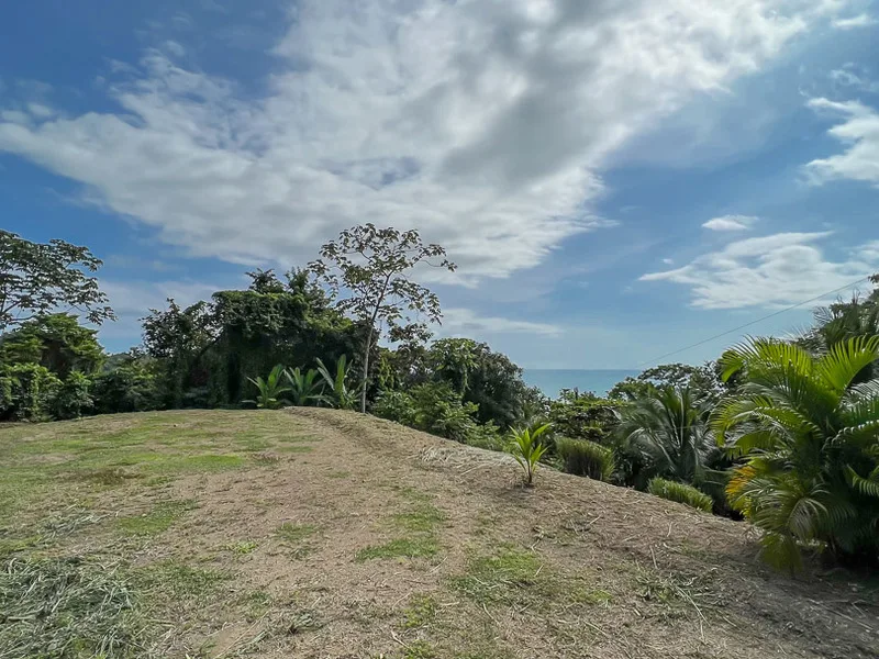 Land For Sale in Malpais