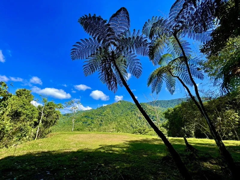 Land For Sale in Ojochal
