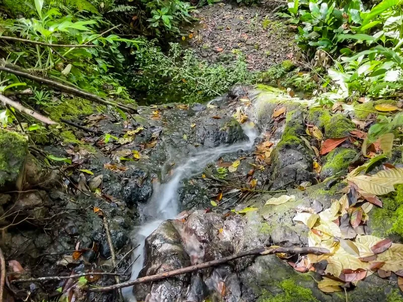 Land For Sale in Quepos
