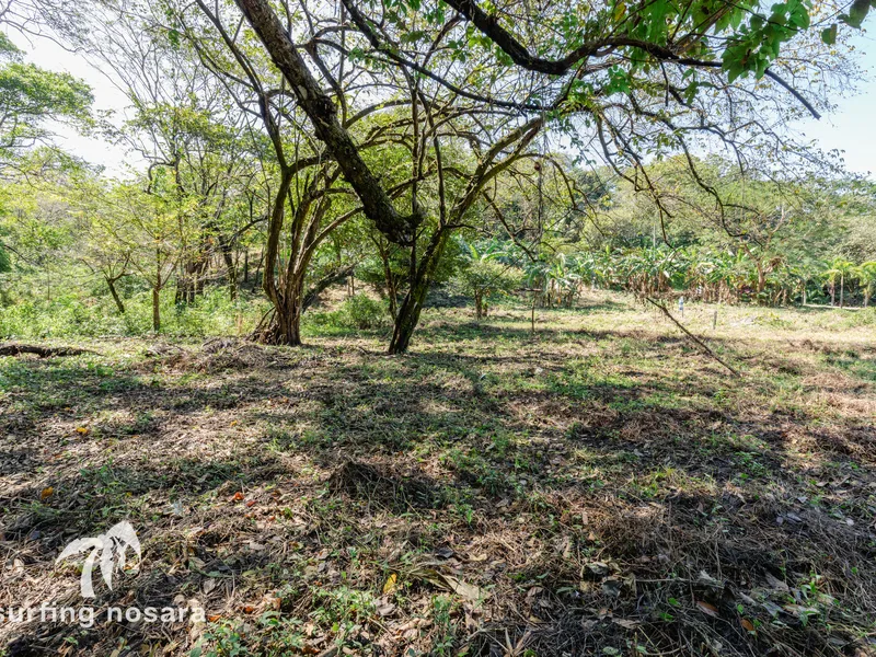 Land For Sale in Nosara