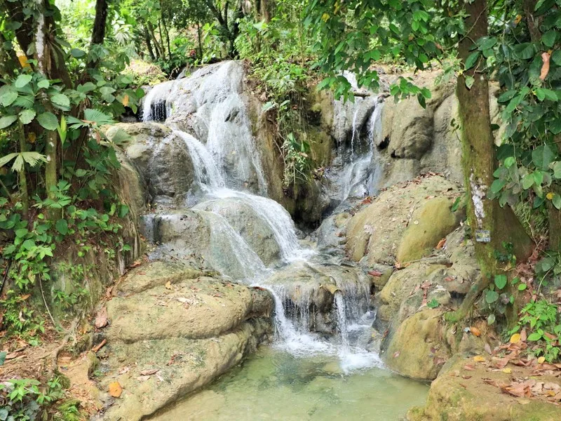 Land For Sale in Rio Claro