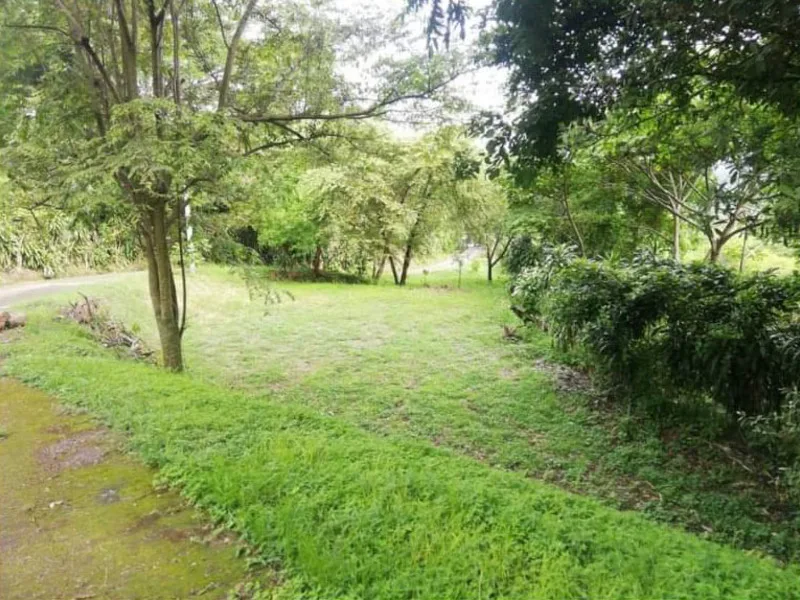 Land For Sale in Atenas