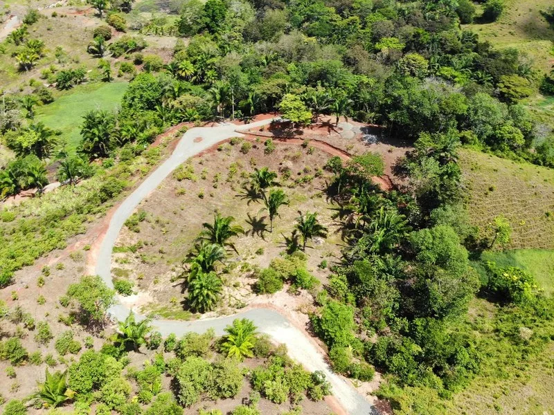 Land For Sale in Quepos
