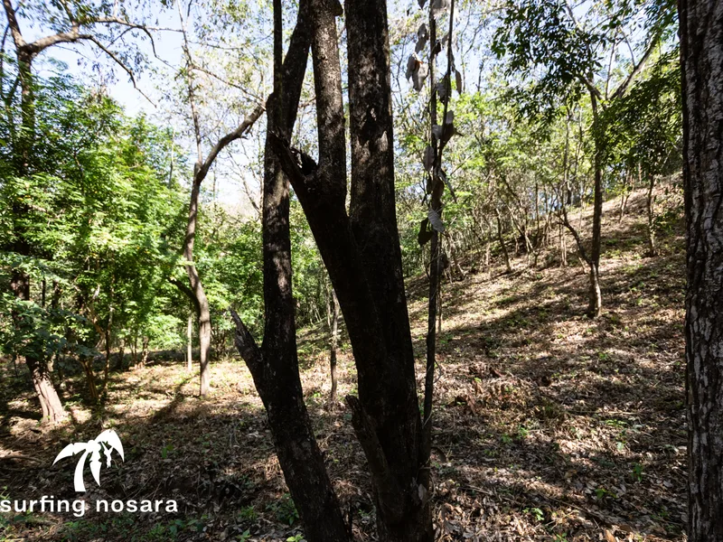 Land For Sale in Nosara