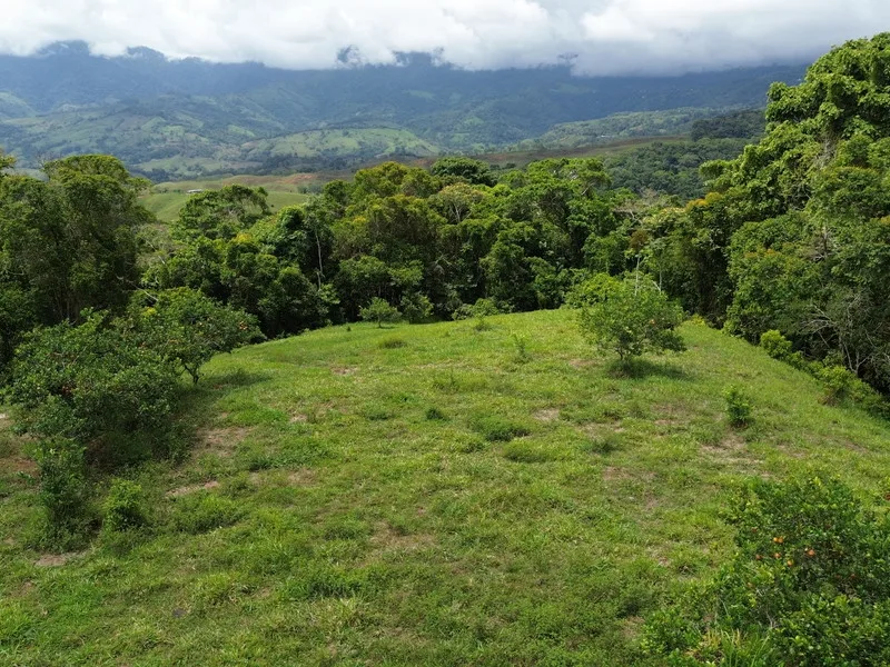 Land For Sale in Perez Zeledon