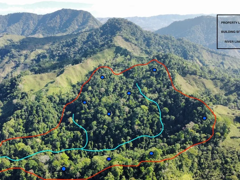 Land For Sale in Palmar
