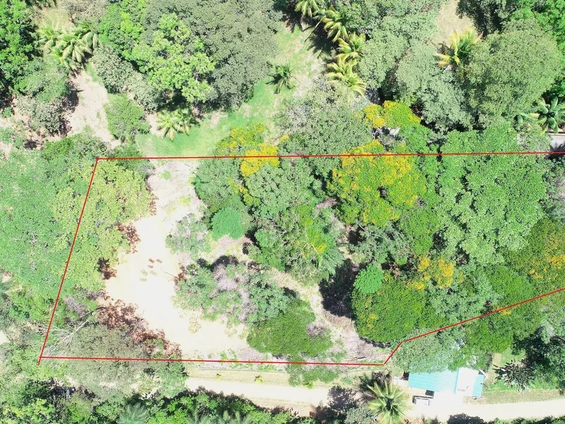 Land For Sale in Ojochal