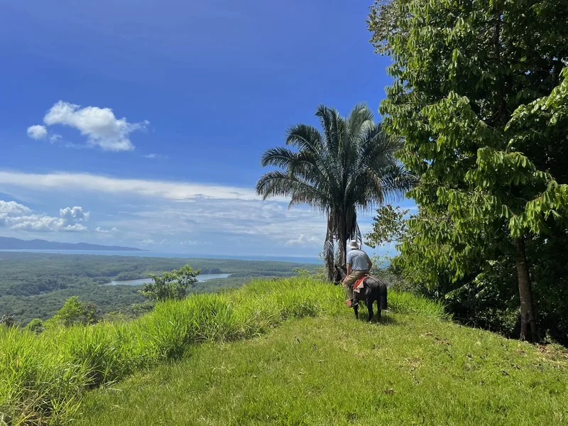 Land For Sale in Golfito