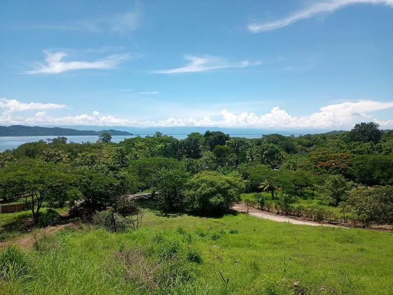Land For Sale in Lepanto