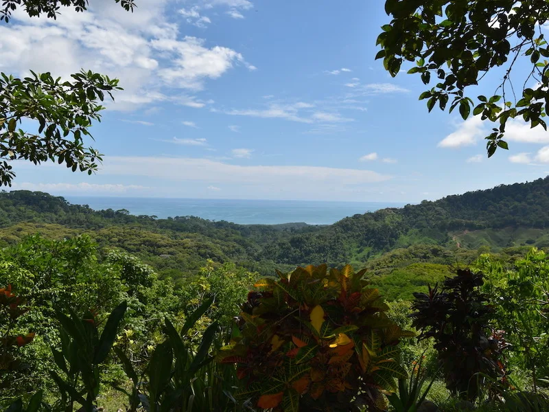 2 Bed Single Family Homes For Sale in Dominical