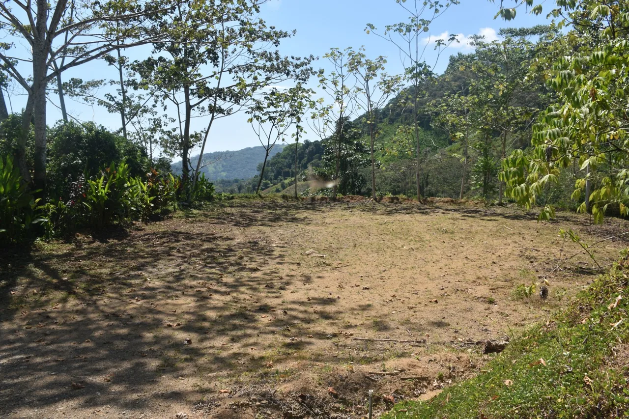 Developments For Sale in Dominical